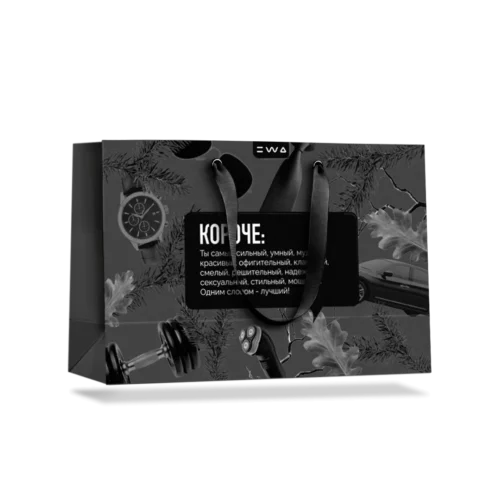 ПАКЕТ подарочный ТЫ САМЫЙ СИЛЬНЫЙ для мужчин EWA PRODUCT